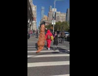 Guy wear dinosaur costume walks at street day NY