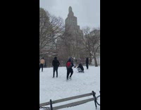 Snowball fight at park with shirtless guy