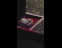 Bare foot on movie theater carpet