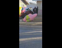 Person in patrick star costume trips and falls on lawn 