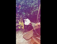 man spiderman outfit pose on wood bench