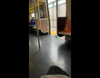 Pigeon getting off at its subway stop for work