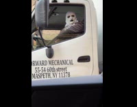 Valak drives truck stares at other car