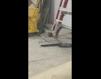 Rat seen next to cleaning supplies 