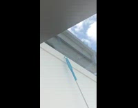 Guy use broom guide bird out of sunroom