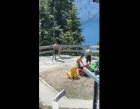 Collab IITW - Guy poses for photo in Grouse Mountain 