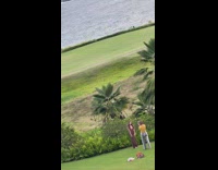 Woman brown dress backyard near some bushes