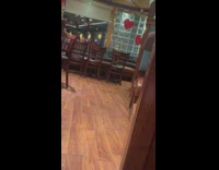 Rat in the middle of the restaurant floor 
