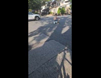 Guy rides bike shows man on road