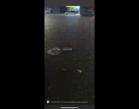 Car does U-turn in flooded water 