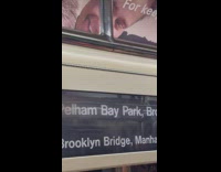 A spider on the subway train climbing up to the handrails 
