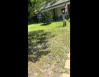 Bird attacks elderly in yard 