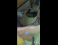 Sleeping black cat guy yelling