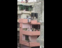 Crow fly electric lines tenants apartment