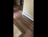 Baby throw apple slices on the floor