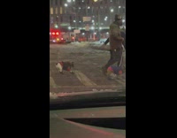 Guy on crosswalk dragging his dog that has boots on