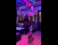 Dog jumps to play and pop balloons