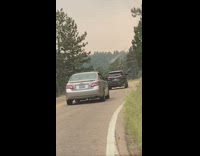 Woman stretch arms head peek car window
