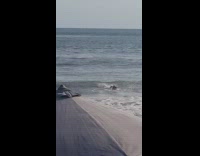 guy on blue surfboard falls off in water 
