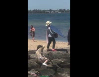 Woman grey pants stand jetty grandma reflector