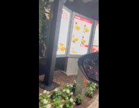 Man say drive thru order in funny way