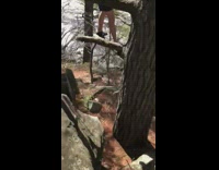 Boy Bounces on Tree Branch Until it Breaks