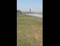 Guy handstand on metal railings beach grass