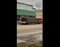 Man sees red truck hauling Christmas trees 