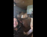 German Shepard comes into bathroom and bites shower water 