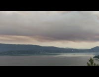 Smoke of a controlled forest fire view from near the lake