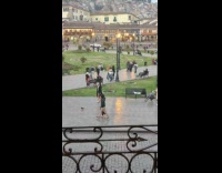 Collab IITW - Woman coat pink heels models at park