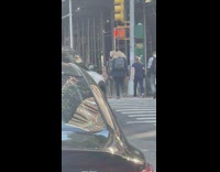 Man cross street pet dog on shoulder