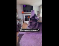 Woman tells blind husky I love you