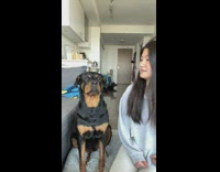 Woman tells her dog that she kidnapped her