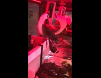 Guys pick lobster to eat crane game