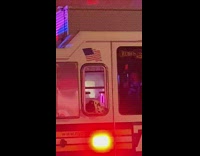 Dog with head out window of a parked firetruck