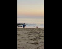 Dad blue shirt photographs daughter sit beach