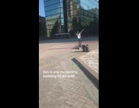Girl brings trampoline for photo