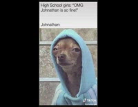 Guy reads memes green screen 