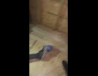 Friends kick blue toy ball at guy