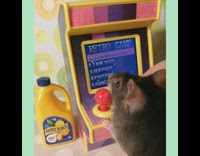 Collab DailyDoseOfInternet - Small black rat playing retro game machine