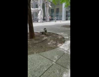 Woman Bounces Ball on Paddle for Video 