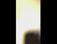 Brown dog runs around on red bed sheets barking in dark