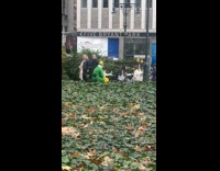 Man green elf costume eat at park table