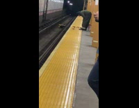 Man chews food and spits to feed birds 