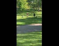 Guy dances golf course grass throws club 