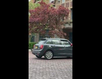Woman in black dress and roses poses on the sidewalk
