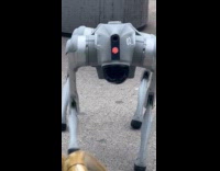 Robot dog turns and waves at filmer