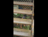 Baby dog crying under stairs in rain
