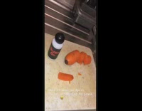 Collab FunBestVids - Girl pranks mom april fools carrot finger